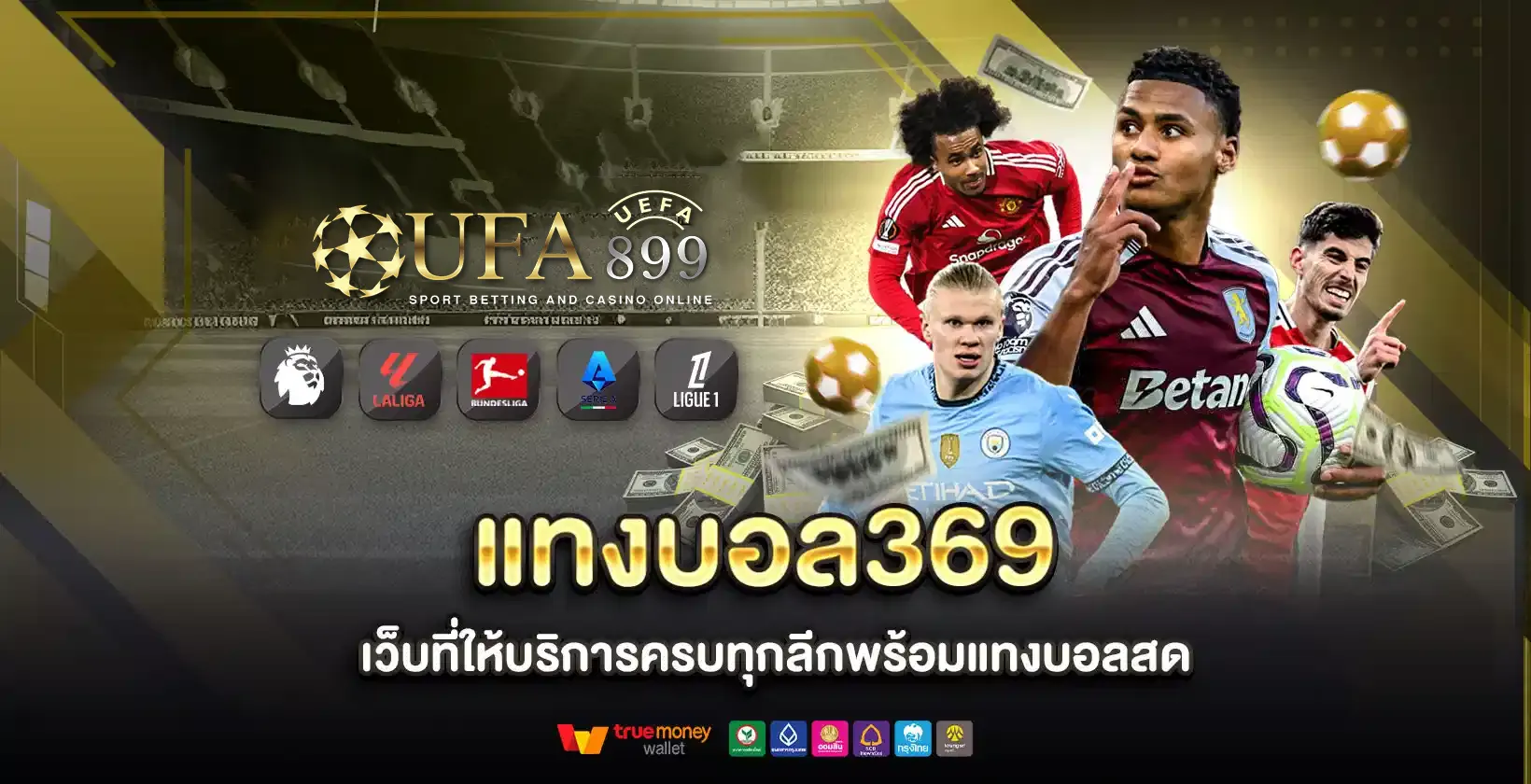 แทงบอล369